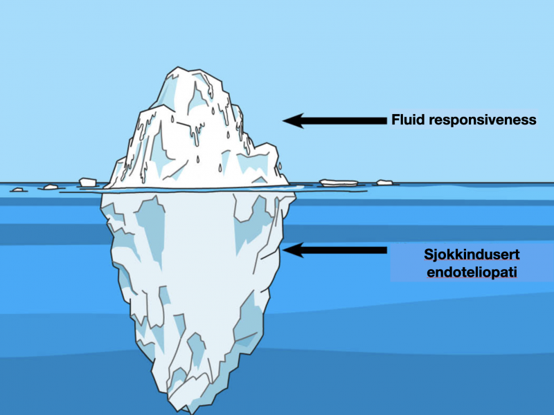 Fluid responsiveness er IKKE viktig