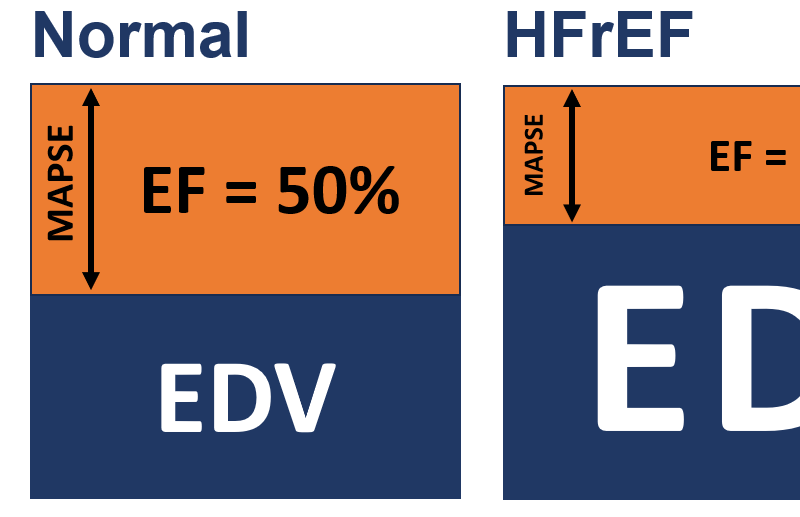 (Auto)MAPSE versus EF