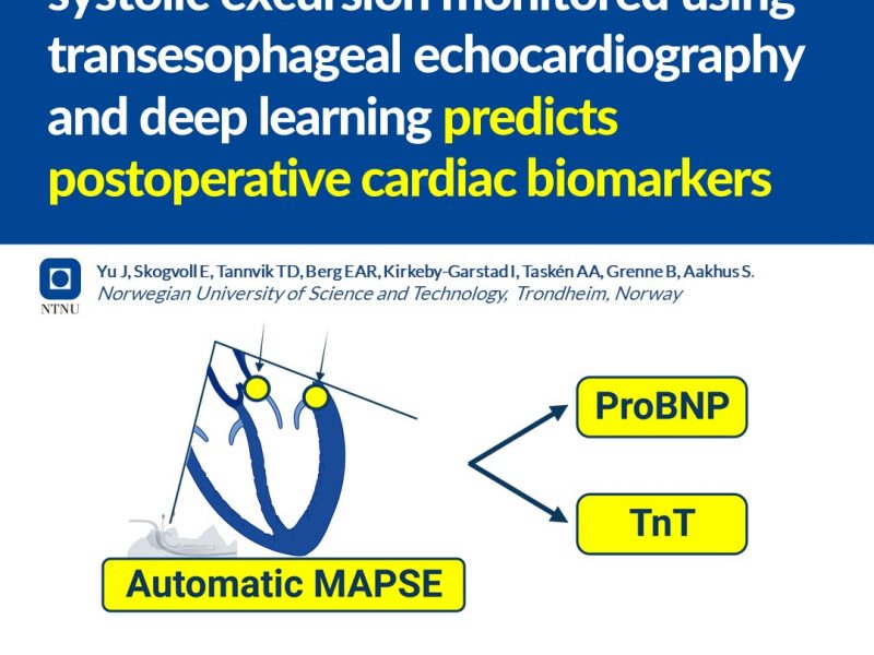 AutoMAPSE på ISICEM 2024 (1 av 2): Kontinuerlig overvåking av autoMAPSE og postoperative kardiale biomarkører