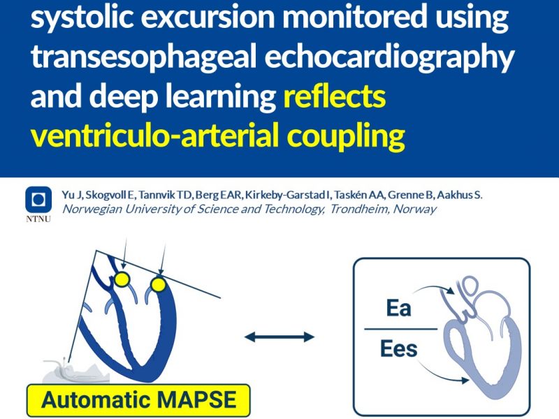 AutoMAPSE på ISICEM 2024 (2 av 2): Kontinuerlig overvåking av autoMAPSE og ventrikuloarteriell kobling